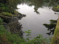 Anan Creek