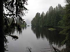 Anan Creek