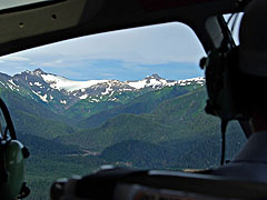 Out the front window