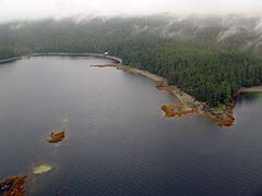 Tongass Forest