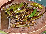 Grilled chillies (to be peeled) and shrimp paste (in banana leaf)